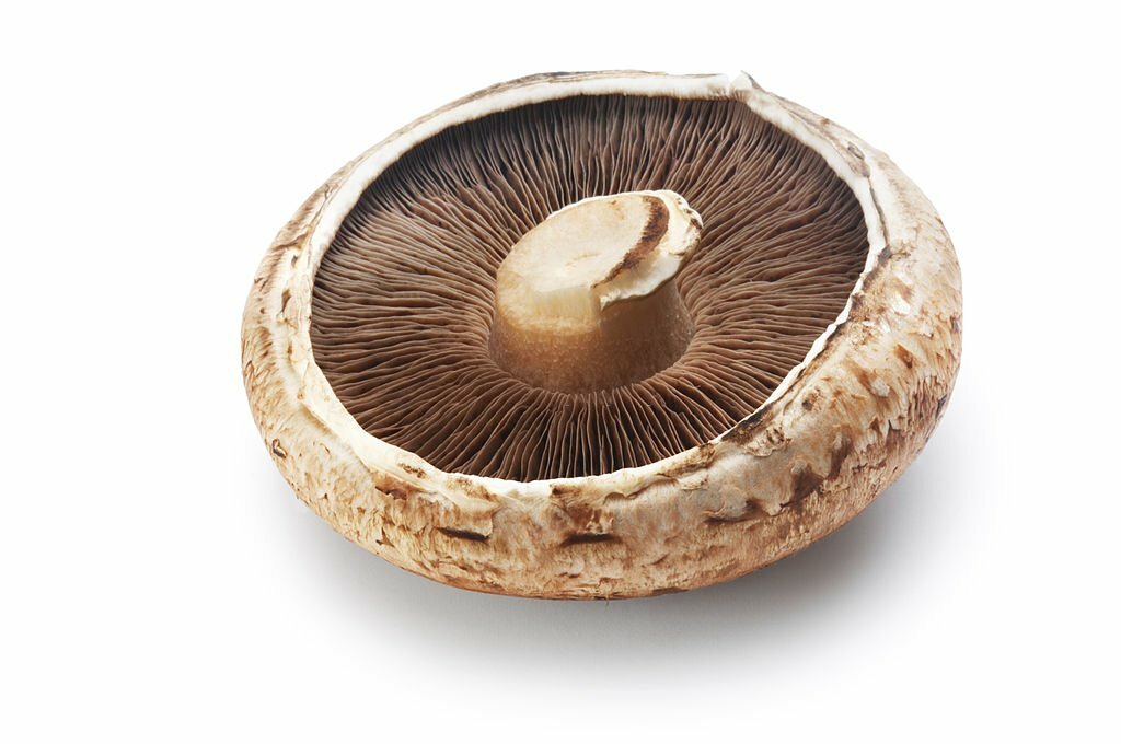 Positive and Negative Effects of Portobello Mushrooms