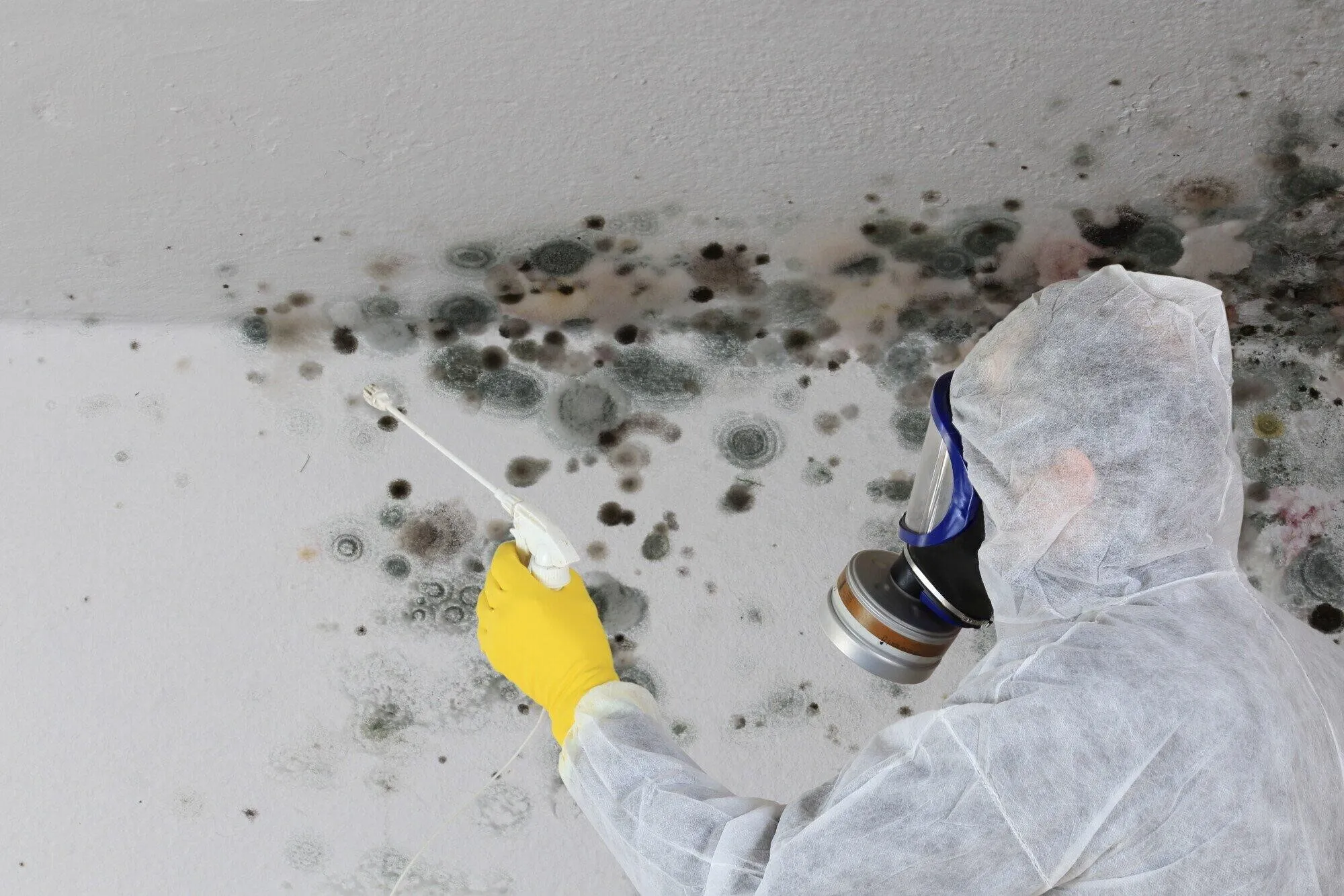 A Comprehensive Guide on the Top Methods for Attic Mold Treatment