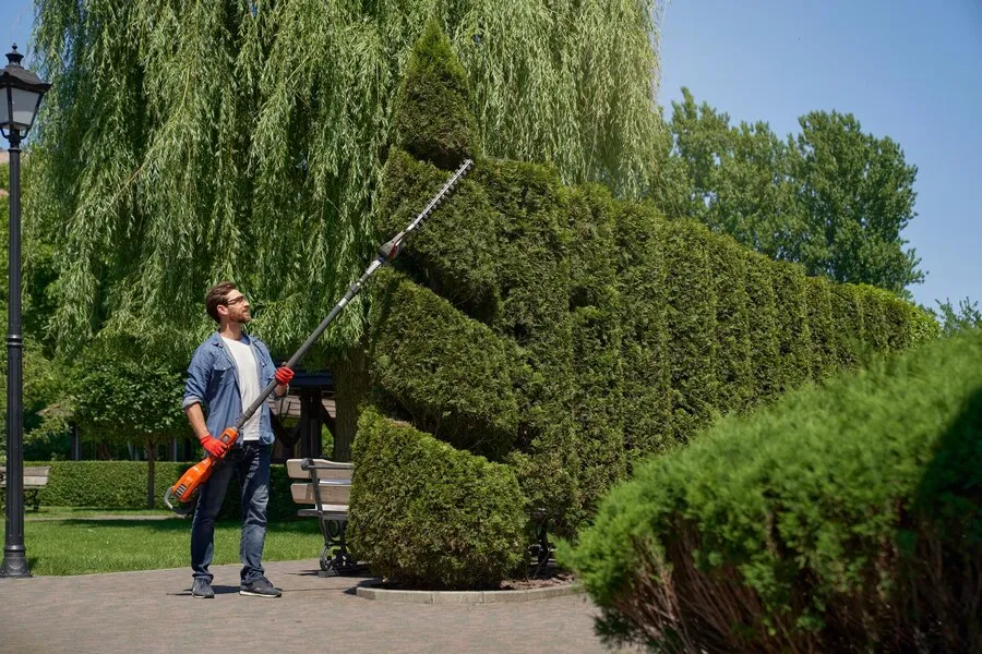 Hedge and Tree Trimming Made Easy: Simple Techniques for a Stunning Landscape