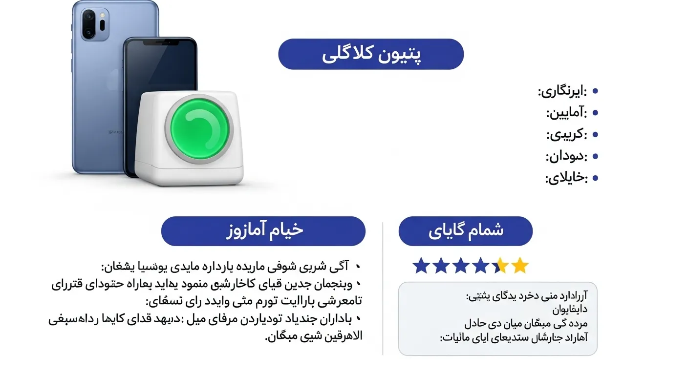 Iranian e-commerce product description format